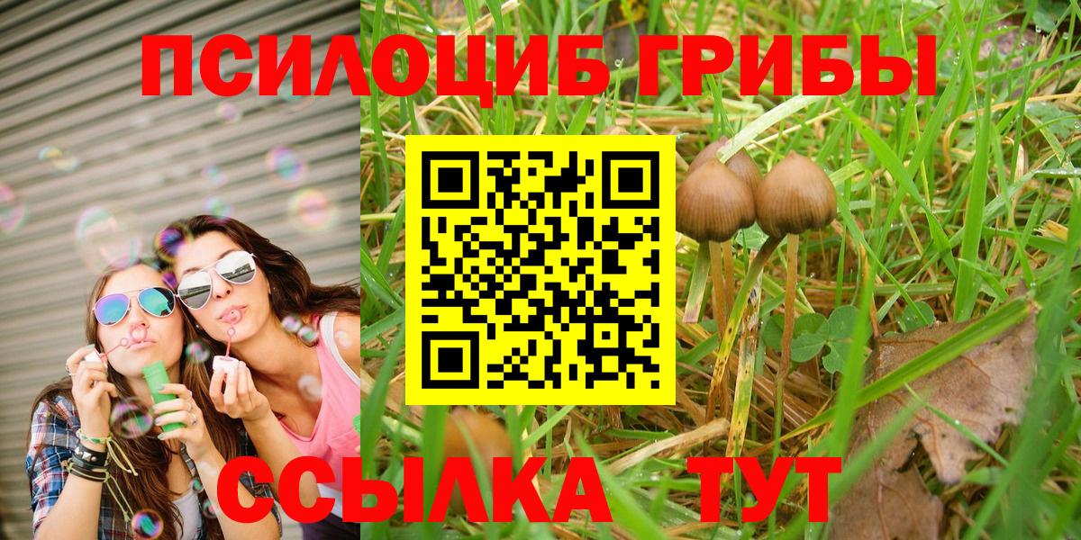 Галлюциногенные грибы Magic Shrooms  Вход с VPN  Курчатов 