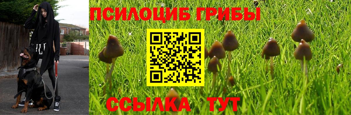 Галлюциногенные грибы ЛСД Курчатов